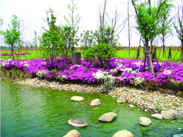 �@�^(q��)�L��